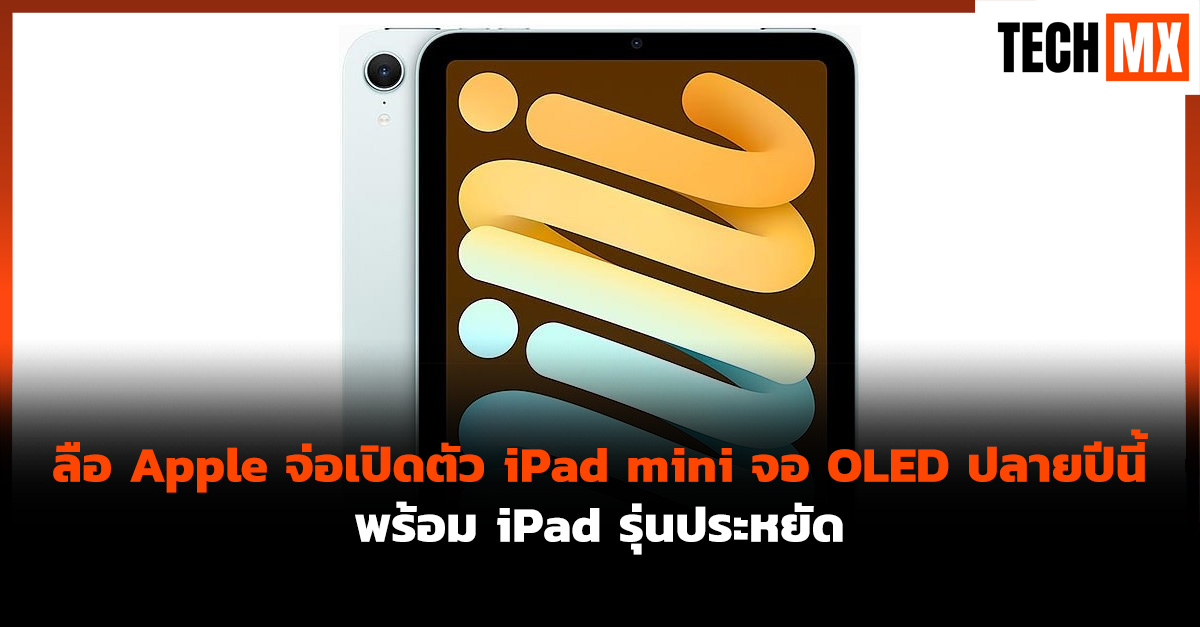 iPad mini