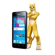 dtac Cheetah